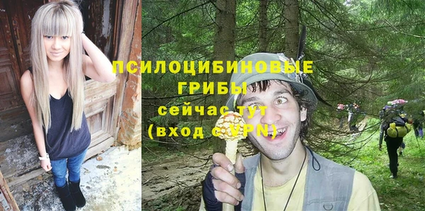 бошки Балахна