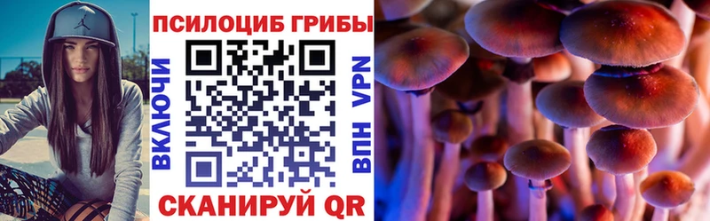Псилоцибиновые грибы ЛСД Купить закладки Котово